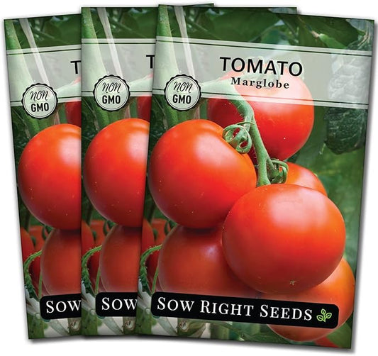 Sow Right Seeds - Marglobe Tomato Seeds for Planting - Non-GMO Heirloom Packet with Instructions to Plant and Grow a Home Vegetable Garden - Classic Medium Red Variety - Determinate Hydroponic (3)