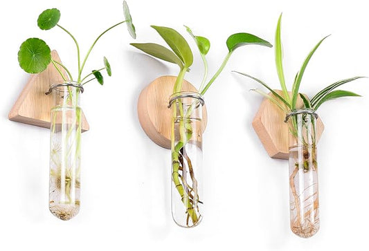 MITIME Wall Hanging Planter Glass Plant Propagation Station,Geometric Wooden Stand for Home Office Decoration.