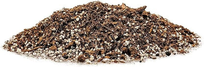 Gardenera Premium Raspberry Potting Soil Mix - Optimal Blend for Thriving and Juicy Berries - 10 Quart