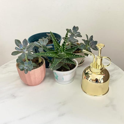 Stainless Steel Plant Sprayer, Small Watering Can Modern Gardening Tool for Indoor Potted Plants Watering and Spraying