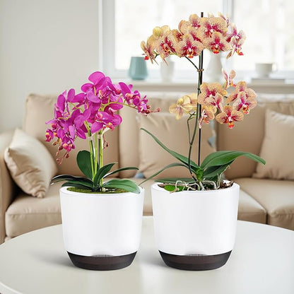 QCQHDU 2 Pack 5.7 Inch Orchid Pots with Holes for Repotting, Double-Layer and Self Watering Orchid Pot with Good Air Circulation