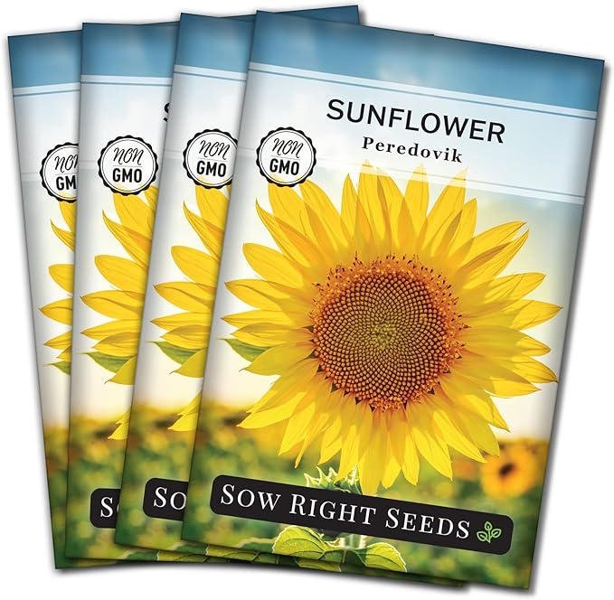 Sow Right Seeds - Peredovik Sunflower Seeds for Planting - Non-GMO Heirloom Packet with Instructions for Growing - Russian Black Sun Flower - Great for Wildlife and Sunflower Oil - Annual Blooms (4)