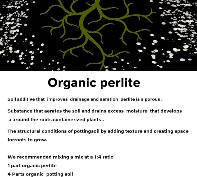 2 QT Professional Grade Horticultural Organic Perlite (2 QT, Perlite)
