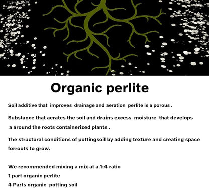 2 QT Professional Grade Horticultural Organic Perlite (2 QT, Perlite)