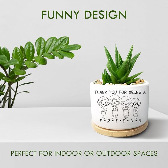 Friend Gift for Women, Golden Merchandise, Succulent Plant Pot, Cactus Flower Planter, Friendship Thank You Gift for Women Friends Bestie Soul Sisters, Thank You for Being A Friend (No Plants)