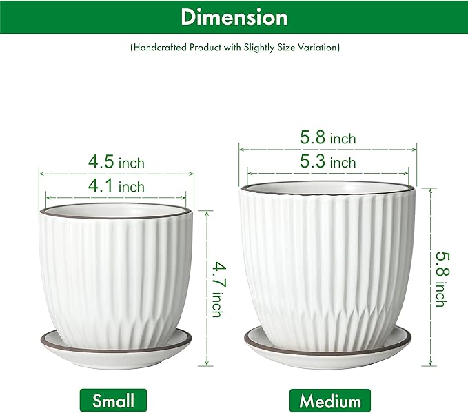 D'vine Dev Set of 2 Stoneware Planter Pots, Ceramic Pot with Drainage Hole and Saucers, 4.5 Inch 5.8 Inch, Ivory, 99-D-1