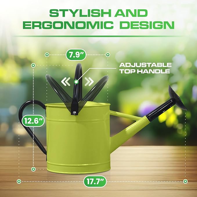 Plexon 1 Gallon Metal Watering Can Outdoor, Flower Plant Gardening Garden Large Watering Can Pot, Black Galvanized Steel Handles and Removable Spray Spout, Green