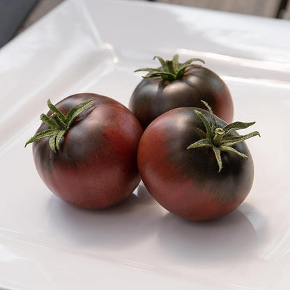 Back to The Roots 100% Organic Seed Packet - Tomato 'Cherokee Purple' 100mg