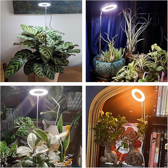 Grow Lights for Indoor Plants, Full Spectrum Plant Lights for Indoor Growing, Height Adjustable Halo Grow Light with Base, 3 Optional Spectrums, Auto Timer 3/9/12Hrs, 10 Brightness, 5 Pack