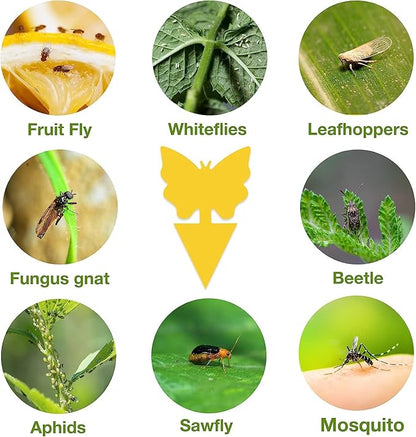 54 Pack Fruit Fly Trap for Indoor, Gnat Traps for House Indoor, Fungus Gnat Killer Sticky Traps for Plants, Mosquitoes, Flying Insects