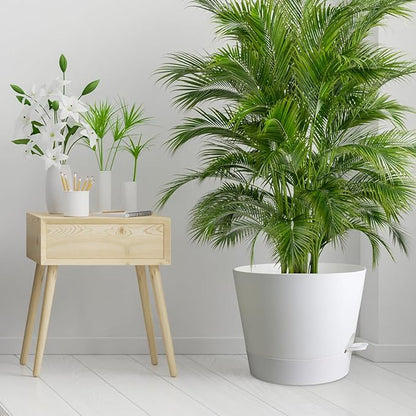 12 inch Large Self Watering Pots for Indoor Outdoor Plants, Flower Plant Pots with Mesh Drainage Holes for Garden House, Plastic Planters with Reservoir for Home, White