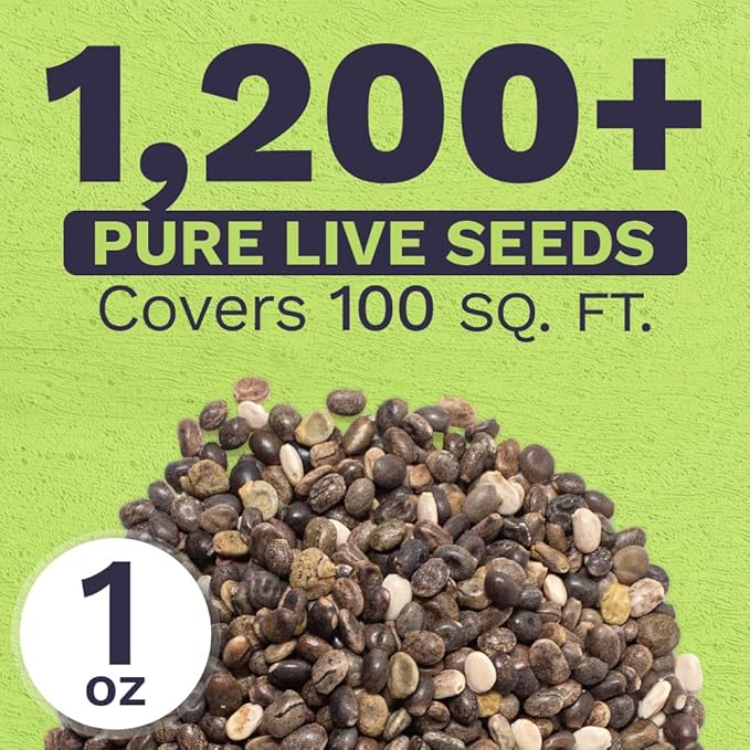 Lupine Wildflower Seeds - Large 1 Ounce Packet - Over 1,200 Annual and Perennial Mixed Lupine Flower Seeds