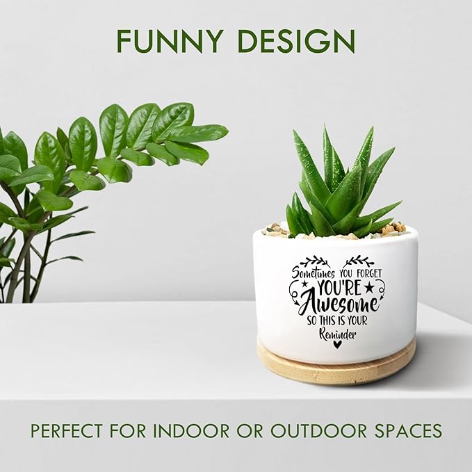 Thank You Gifts for Women, Funny Succulent Plant Pot, Cactus Flower Planter Gifts, Appreciation Inspirational Farewell Going Away Gifts for Women Men Boss Lady Manager Coworkers (No Plants)