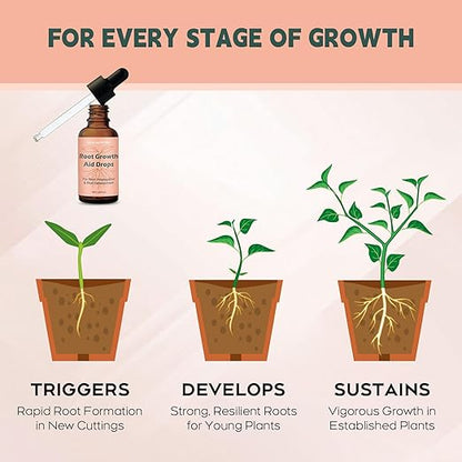 Root Growth Aid Drops - Rooting Hormone for Cuttings | Propagation Drops for Faster Roots & Less Shock | Works in Water, Soil, LECA | for Pothos, Monstera & All Houseplants (4 oz)