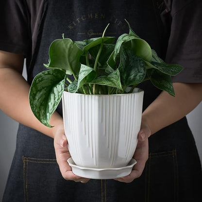 ADN Ceramic Planter, 6 Inch Plant Pots for Plants Modern Decor Indoor Flower Pot with Saucer and Drainage Hole, White