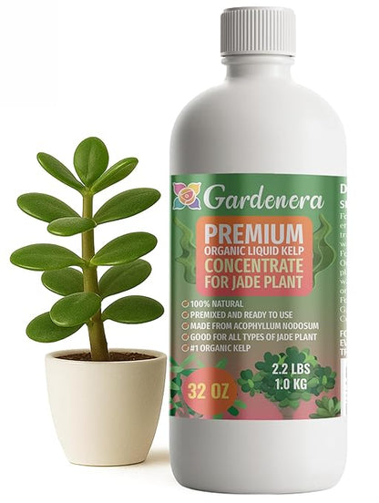 GARDENERA Premium Organic Seaweed & Kelp Superfood for Jade Plants Plants - 32 oz - Liquid Kelp Fertilizer Concentrate (Makes 180 Gallons)
