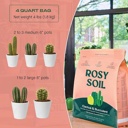 Rosy Soil Cactus and Succulent Potting Soil Mix for Houseplants - Fast Draining Organic Potting Soil for Succulents, AloeVera, Indoor Plant - Root Boosting for Drought Tolerant Growth, Pack of 2