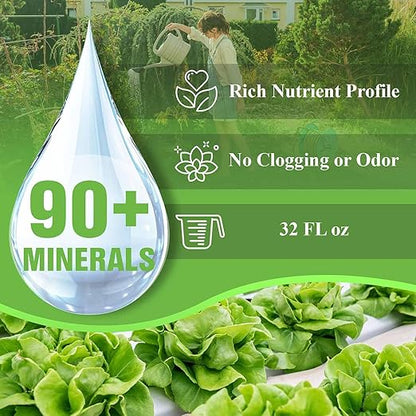 OceanSolution 2-0-3 All Natural Liquid Fertilizer – 32 Oz Concentrated Mineral Fertilizer & Plant Food for Microgreens, Hydroponics, Gardens & Lawns–OMRI Listed, No Odor(1oz per Gallon of Water)