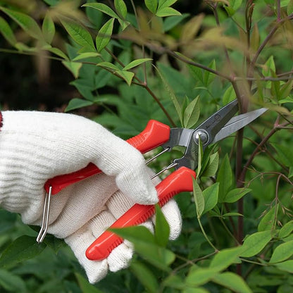 Sanung 910 2 PACK Garden Pruning Shears Multipurpose Flower Stems Branch Fruit Picking Shears Scissors Gardening Hand Pruners with Straight Steel Blades Safety Lock