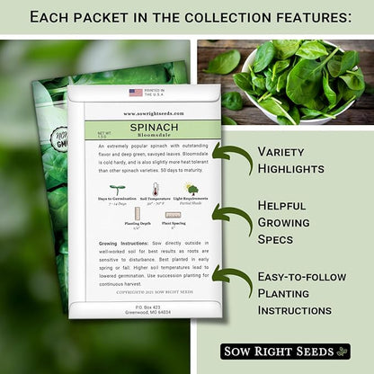 Sow Right Seeds - Large Greens Seed Collection for Planting - Spinach, Arugula, Kale, Lettuce, Tat SOI, Pak Choi and Rainbow Swiss Chard - Non-GMO Heirloom - Plant and Grow a Home Vegetable Garden