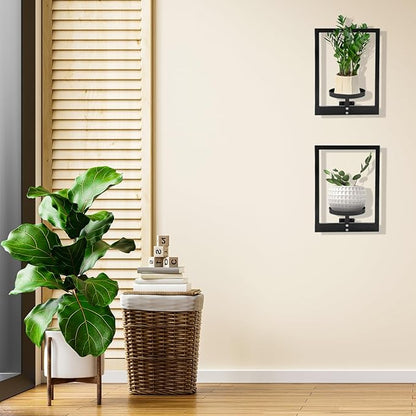 Metal Wall Plant Holder, Wall Planters for Indoor Plants, Heavy Duty Plant Wall Shelf, Vertical Space Saving - for Home, Office, Balcony(2 Pack)