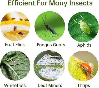 36 Pack Fruit Fly Traps for Indoors, Gnat Traps for House Indoor, Sticky Traps Fungus Gnats Killer for Mosquito and Flying Insects, Bug Pest Insect Catcher Killer for Houseplant