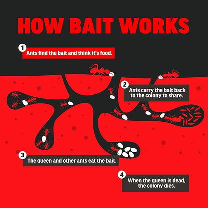 Amdro 100550427 Ant Killer for Outdoor Home Perimeter 24 oz, Black Label