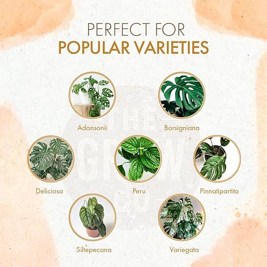 Monstera Plant Food - Organic Liquid Fertilizer for Indoor and Outdoor Monstera Plants - Nutrients for Healthy Tropical Leaves and Steady Growth (8 oz)