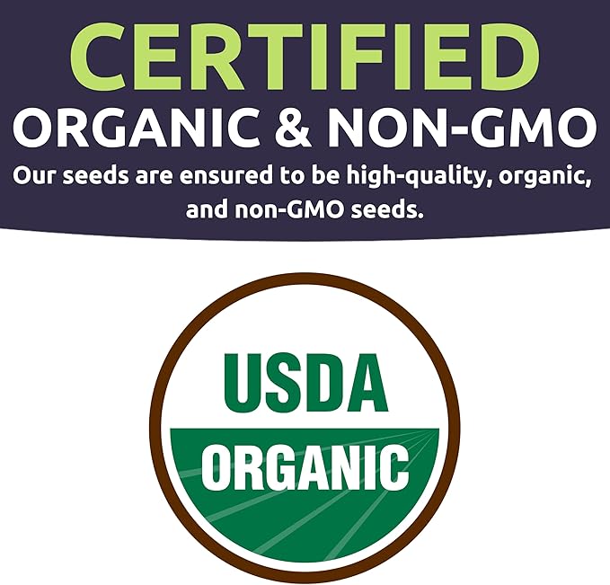 Organic Pumpkin Seeds Variety Pack - 6 Individual Packs - 2026 Season - Jack O' Lantern, Cinderella, Big Max and More! for Indoor & Outdoor Planting (Non-GMO, Certified Organic)