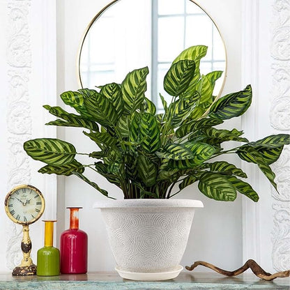 Plastic Flower Pots Planters for Indoor Plants, 4 Pack 16 Inch White Plant Pots with Drainage Hole & Tray, Modern Decorative Large Plant Pot with Saucer for Indoor Outdoor Plants Garden House Planter