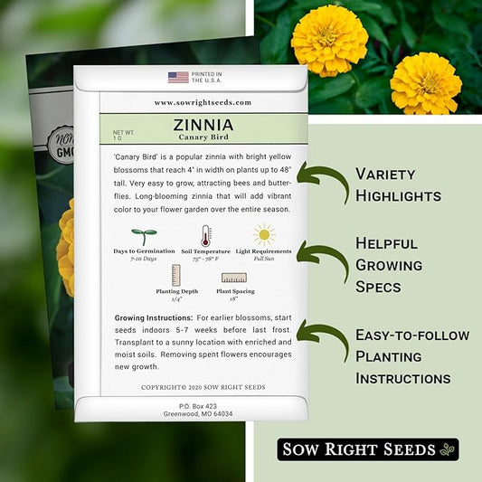 Sow Right Seeds - Canary Bird Zinnia Seeds for Planting - Non-GMO Heirloom Packet to Plant and Grow - Large Yellow Annual Blooms - Giant Cut & Come Back Flowers - Attract Bees and Butterflies (3)