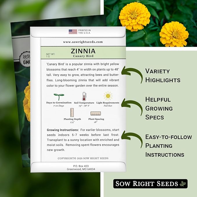 Sow Right Seeds - Canary Bird Zinnia Seeds for Planting - Non-GMO Heirloom Packet to Plant and Grow - Large Yellow Annual Blooms - Giant Cut & Come Back Flowers - Attract Bees and Butterflies (4)