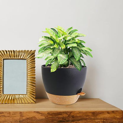 8 inch Self Watering Pots, 2 Pack Plastic Planters with Mesh Drainage Holes for Garden Plants and Flower, Plants Pots with Deep Reservoir for Indoor Outdoor Plants, Black with Brown