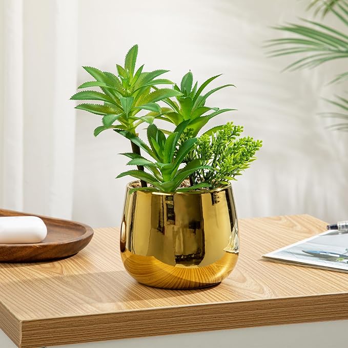 Briful Artificial Succulents Plants in Ceramic Pot, Faux Succulent with Gold Planters – Modern Desk Decor for Home Office Shelf Bathroom, Small Fake Plants Potted