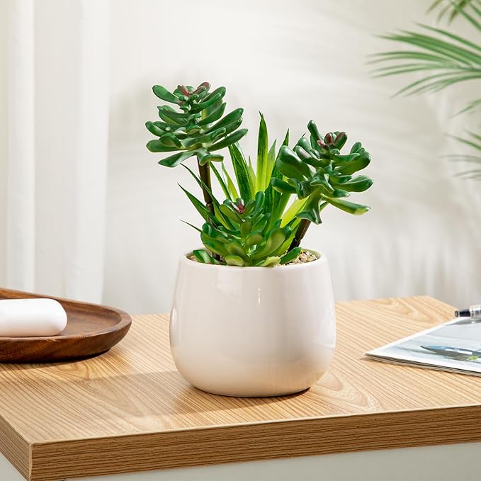 Briful Artificial Succulents Plants in Ceramic Pot, Faux Succulent with White Planters – Modern Desk Decor for Home Office Shelf Bathroom, Small Fake Plants Potted