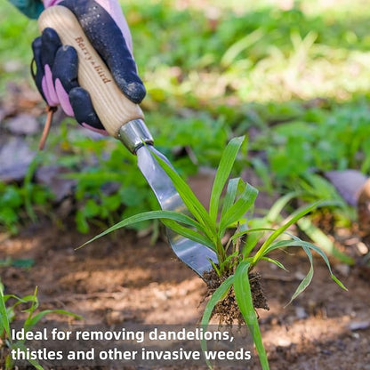 Berry&Bird Hand Weeder Tool, Stainless Steel Gardening Weed Puller, 12.1" Manual Weeding Removal Cutter Tool with Ash Wood Handle for Planting, Weeding, Flower & Vegetable Care in Garden Lawn Yard
