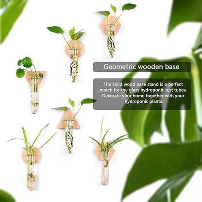 MITIME Wall Hanging Planter Glass Plant Propagation Station,Geometric Wooden Stand for Home Office Decoration.