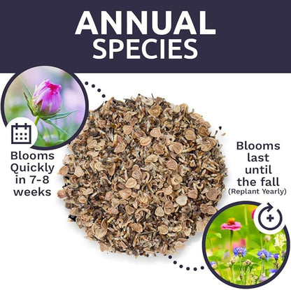 Bulk Wildflower Seeds Annual Quick Blooming Mix - 1/4 Pound Bag - Over 30,000 Open Pollinated Seeds