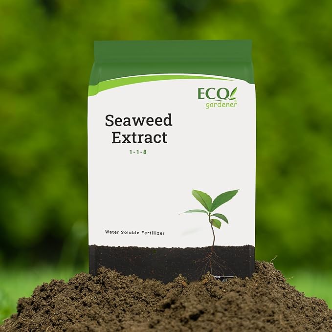 ECOgardener Seaweed Extract Soil Amendment, Water-Soluble, Powdered Organic Soil Conditioner