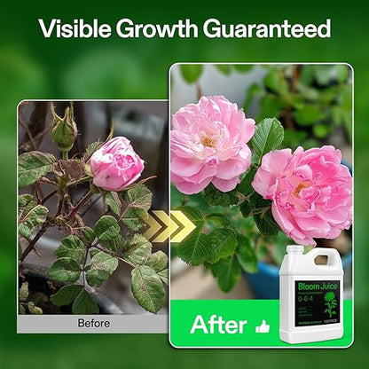 VIVOSUN Bloom Juice (0-6-4), Flowering Supplement Liquid Fertilizer for Flowering Stage, Concentrated Plant Food for All Flowering Plants, 32 Ounces/1 Quart
