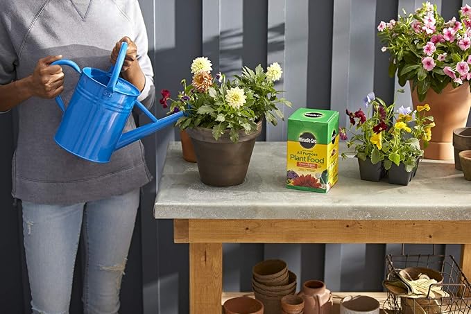 Miracle-Gro All Purpose Plant Food Plant Fertilizer (6 Pack), 3 lb