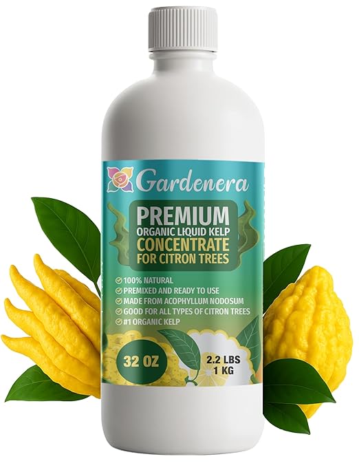 GARDENERA Premium Organic Seaweed & Kelp Superfood for Citron Plants - 32 oz - Liquid Kelp Fertilizer Concentrate (Makes 180 Gallons)