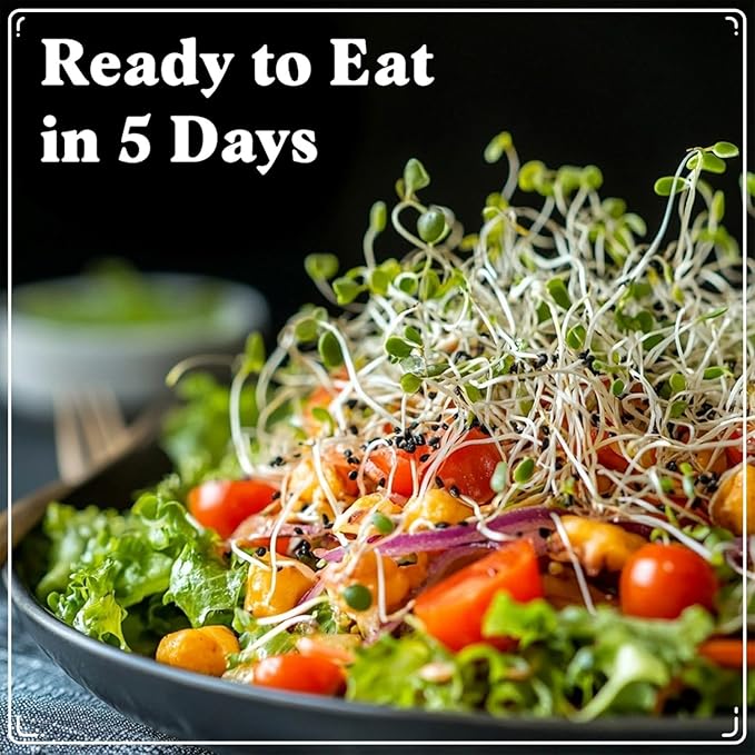 Seedboy Organic Non-GMO Alfalfa Seeds for Sprouting - Microgreens Sprouting Seeds - 8 oz Bag Makes 8 Quarts / 24 Servings (Alfalfa)