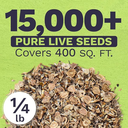 Bulk Wildflower Seeds Annual Quick Blooming Mix - 1/4 Pound Bag - Over 30,000 Open Pollinated Seeds