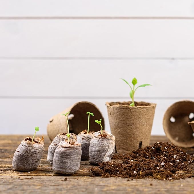 1000 Pcs 40mm Seed Peat Pellets Bulk Seed Starter Soil Pods Compressed Coconut Coir Pellets Potting Soil Pods for Vegetables Germination Propagation Garden Planting Transplanting