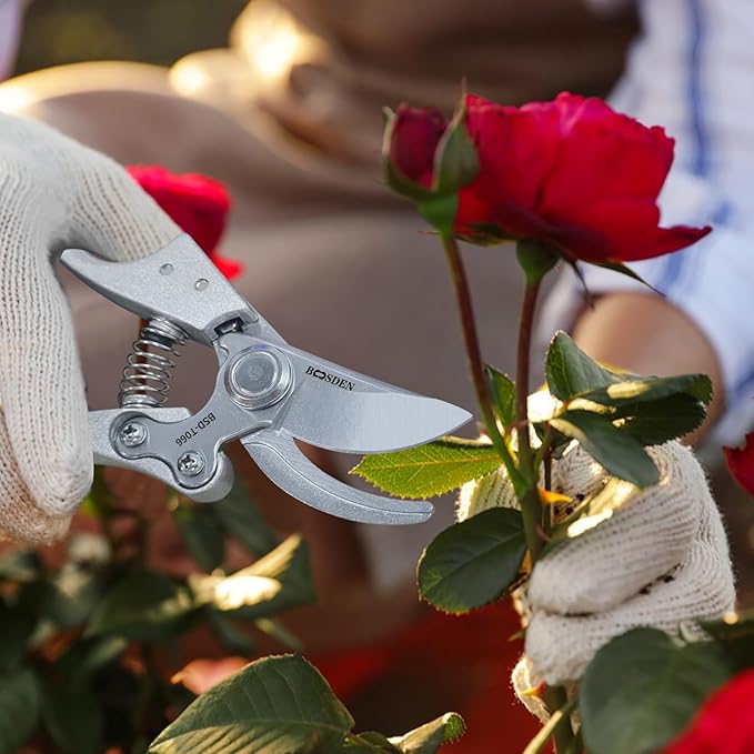 BOOSDEN Bypass Pruning Shears，8’’ Professional Garden Shears, Plant Garden Scissors with Sharp SK5 Steel Blades, Handheld Clippers for Cutting Flower, Trimming Plants, Bonsai, Fruits Picking