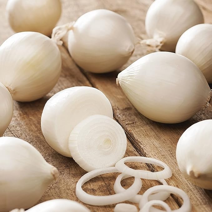 100 White Onion Bulbs for Planting, Onion Sets Fresh Bulbs Seeds for Growing