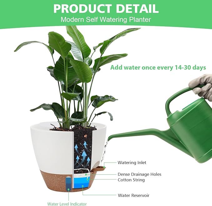 Self Watering Planter Set with Visual Water Level, 6Pack Small Plastic Pot with Drainage Holes and Reservoir Saucers, Modern 8+7+6.5+6+5.5+5 Inch Bottom Watering Flower Pots for Indoor Plant - White