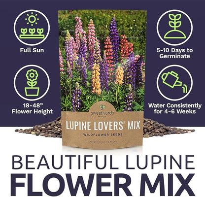 Bulk Lupine Mix Wildflower Seeds 1/4 Pound Bag - Over 4,500 Untreated Annual and Perennial Mixed Lupine Flower Seeds