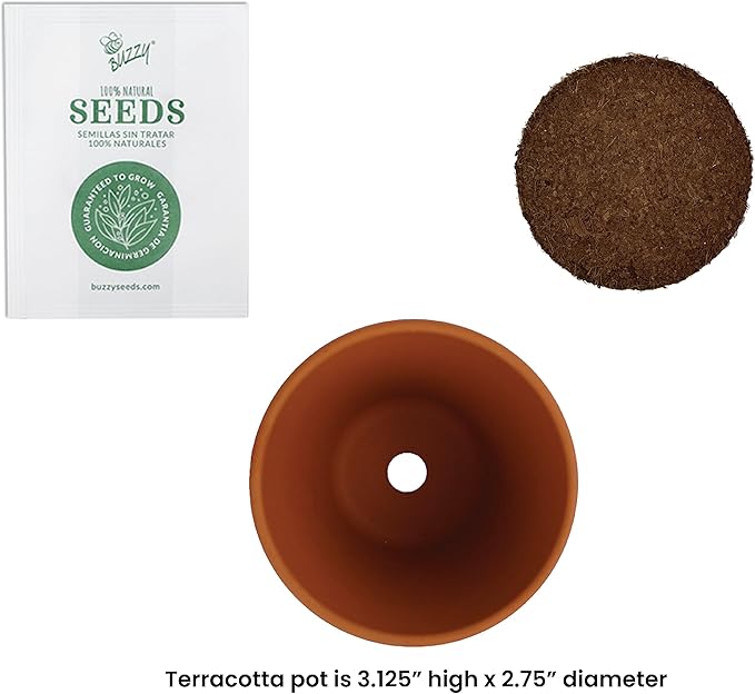BUZZY Sunflower Seeds & Genuine Terracotta 7cm Pot Bulk Pack (10 Count), Includes 10 Each pots, Soil pellets, Seed Packs - Great for Favors, Crafts, School Projects, Starter Kits - Guaranteed to Grow
